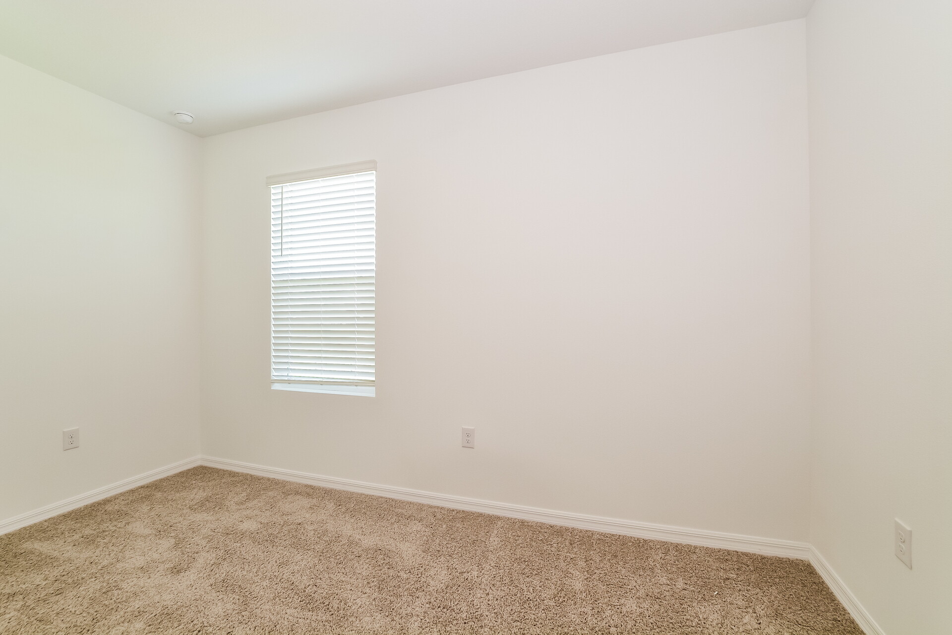 A property photo of 3441 Nettle Loop  Tavares FL 32778