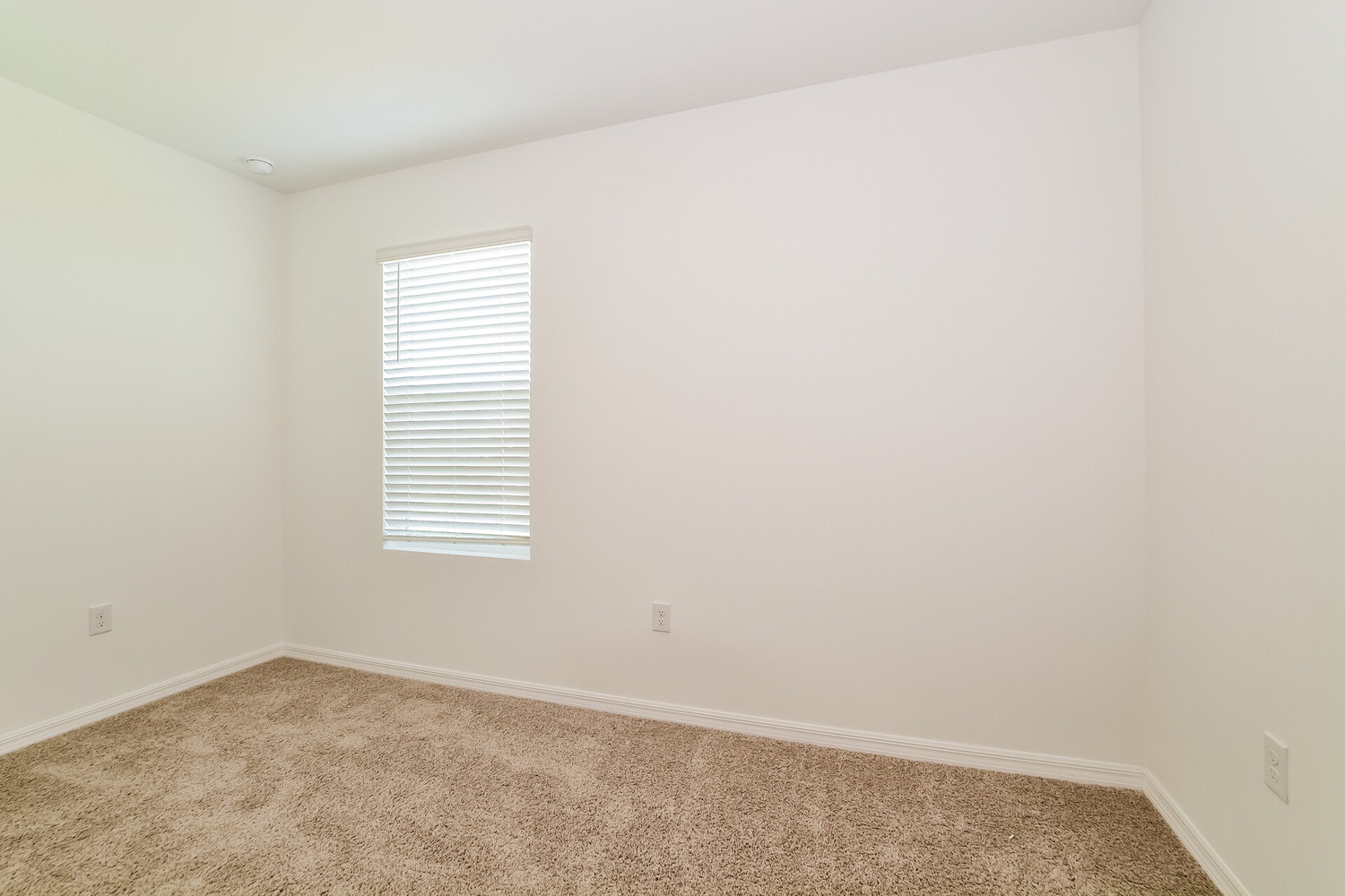 A property photo of 3441 Nettle Loop  Tavares FL 32778